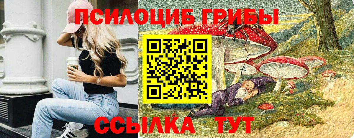 Шадринск  даркнет сайт  Вход с VPN  Псилоцибиновые грибы Psilocybine cubensis 